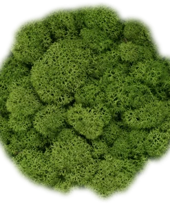 Dekormose<span> - </span>Clover green, 500g