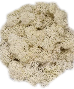 Dekormose<span> - </span>Natural, 500g